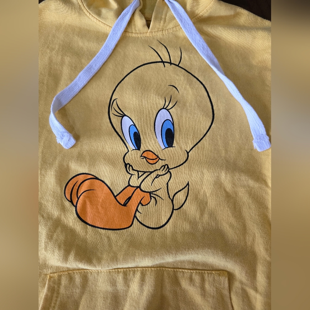 Warner Bros. Yellow Tweety Hoodie Size Kids 3-5, Vintage, Hoodie, Graphic